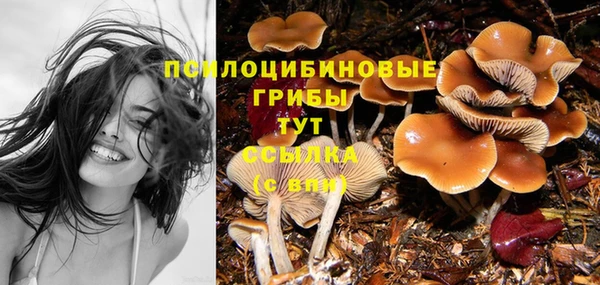 герыч Алексин