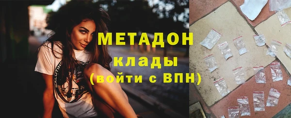 ПСИЛОЦИБИНОВЫЕ ГРИБЫ Арсеньев