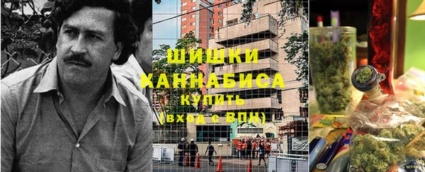 ПСИЛОЦИБИНОВЫЕ ГРИБЫ Арсеньев